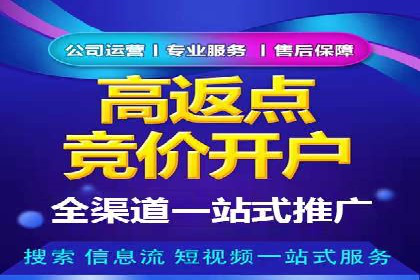 SEM优化策略案例分析